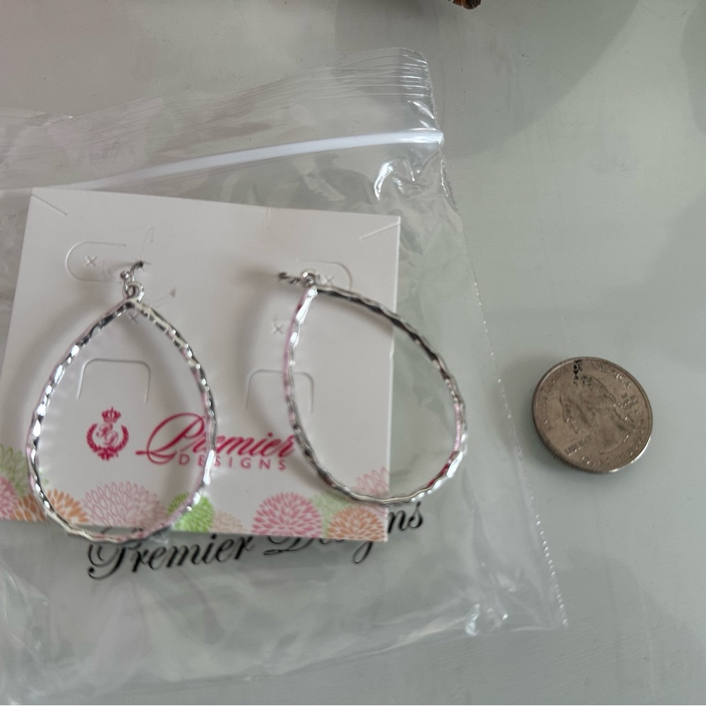 Sliver Oval Hoop